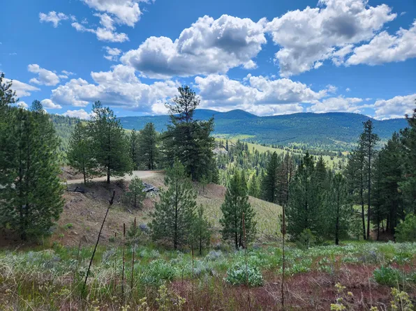 Marlys Rd, Tonasket, WA 98855