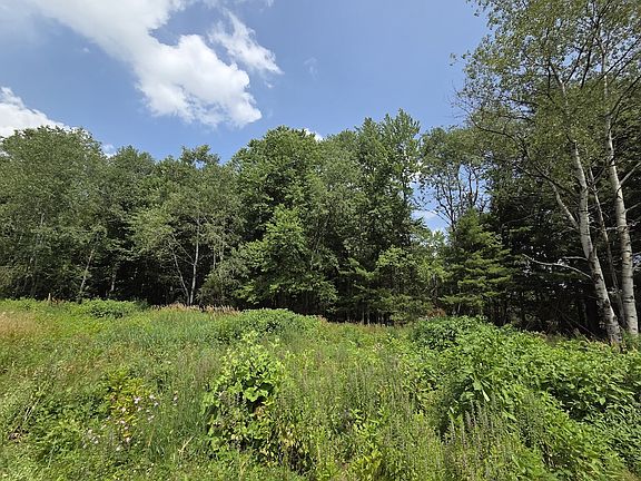 4th image of 10720 Duck Lake Rd