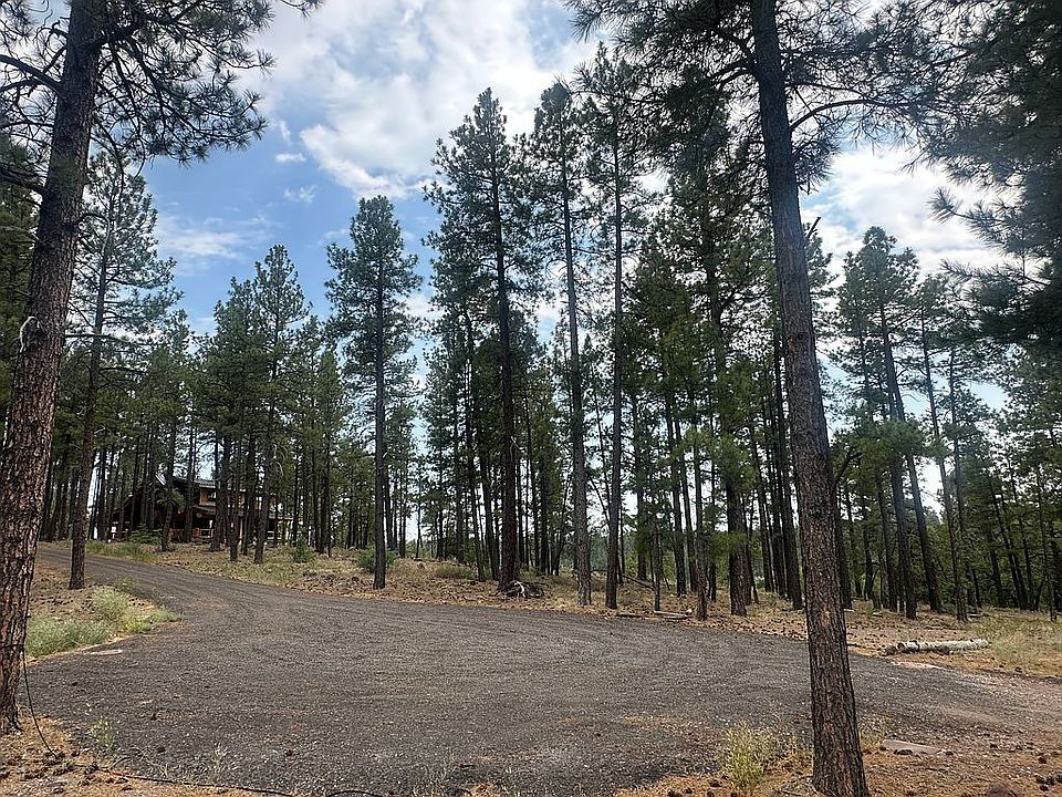1st image of 395 W Lazy Pine Ln