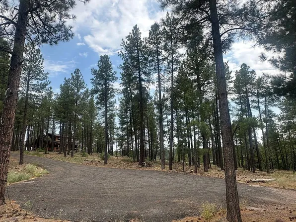 395 W Lazy Pine Ln, Munds Park, AZ 86017