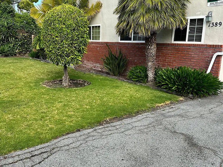 1389 Reeve St — Photo 1