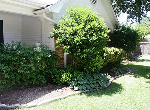 2nd image of 2804 Live Oak Ln