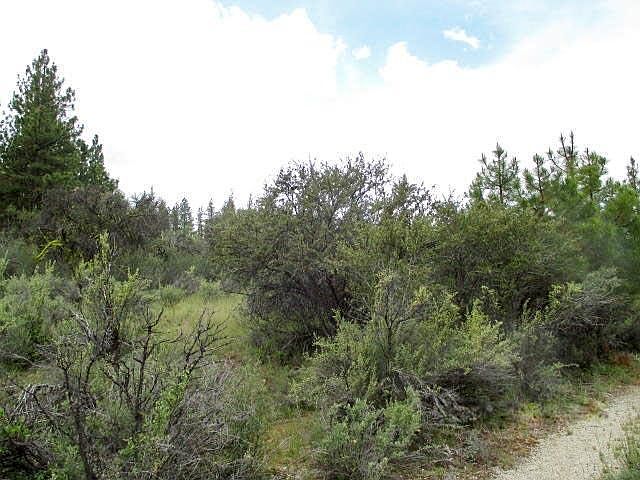 2nd image of Partin Dr #5