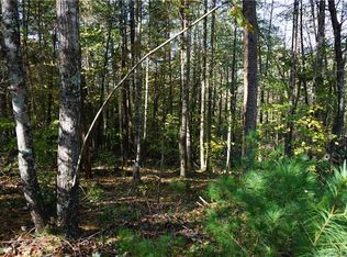 437 Larkhaven Dr #190, Nebo, NC 28761