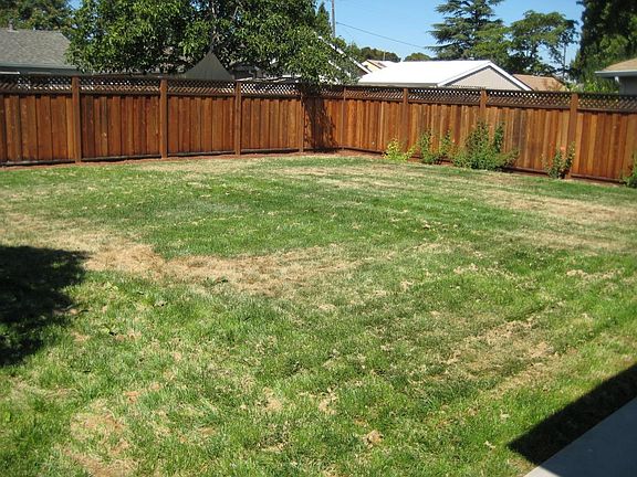 Large Backyard
