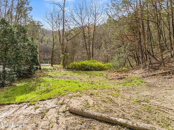 3rd image of 1 N Clear Fork Rd Lot 1