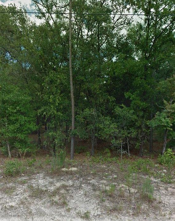 1st image of 10707 N Hatari Dr #5