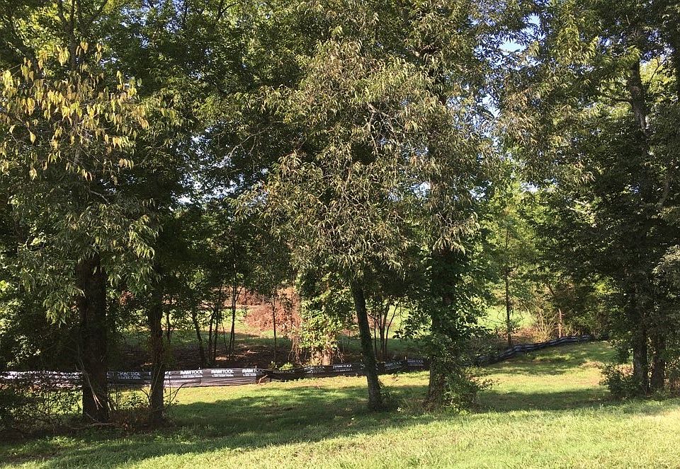 2nd image of 732 Brookside Dr Lot 39