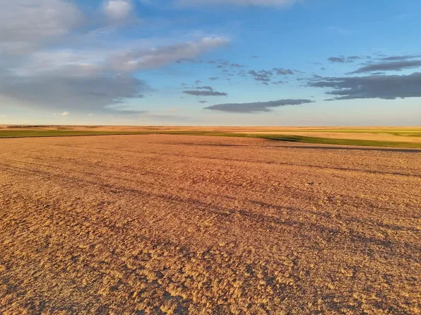 Road 14s, Bushnell, NE 69128