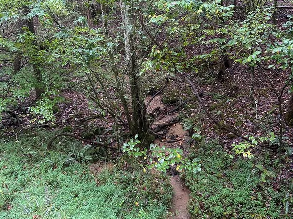 0 Johnsonville Rd, Murphy, NC 28906