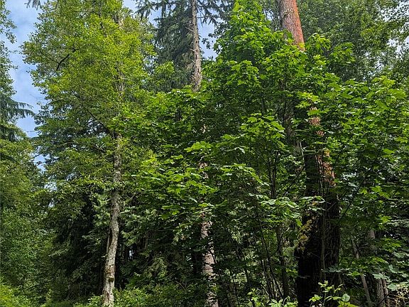 3rd image of 25314 Ebey Mountain Road