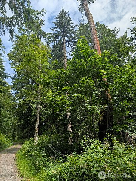 3rd image of 25314 Ebey Mountain Road