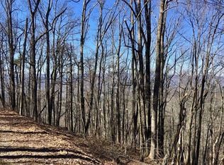 M168 Walnut Rdg, Ellijay, GA 30536