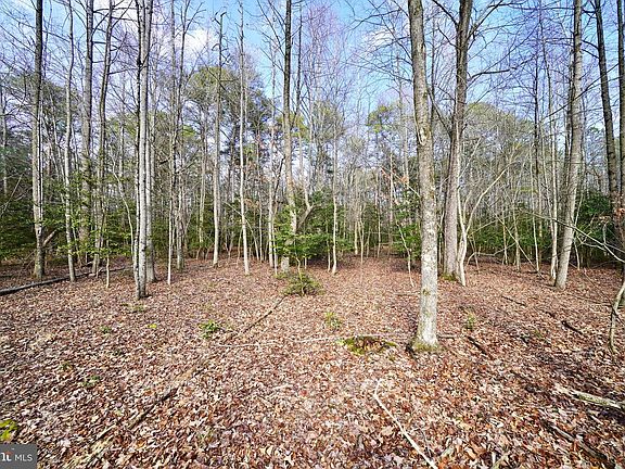 5th image of 1 Megan Joy Rd