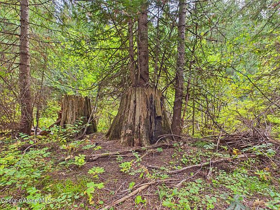 5th image of 2815 Bear Creek Rd