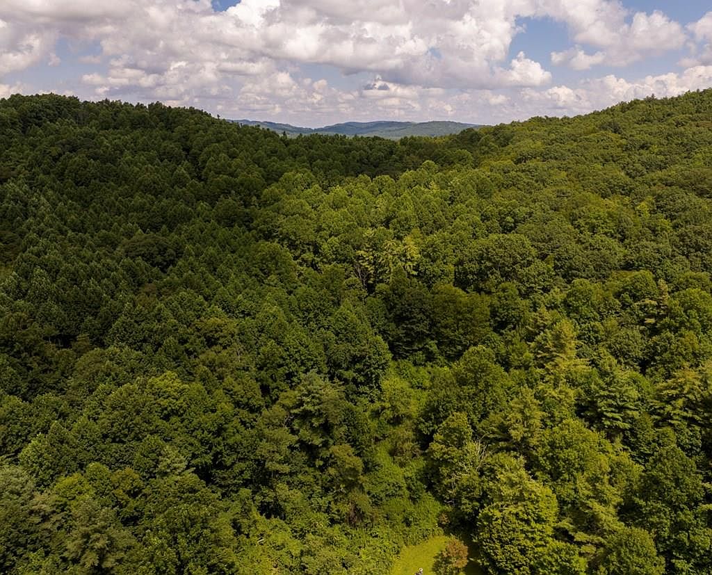 Shelor Rd SW, Meadows Of Dan, VA 24120 MLS 89170 Zillow