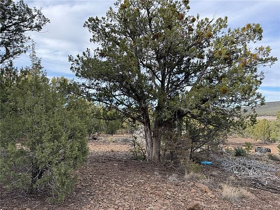 5th image of 34745 W Running Shadow Rd Unit 3