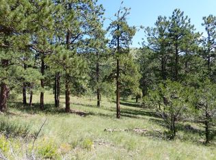 42 Bonton Ln, Westcliffe, CO 81252