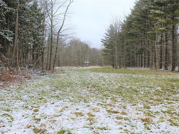 4th image of State Route 307