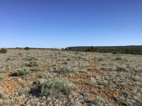 LOT 106 Ranch Dr, Pinehill, NM 87357