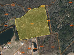 Tbd Andrew Lakes Drive, Tabor City, NC 28463