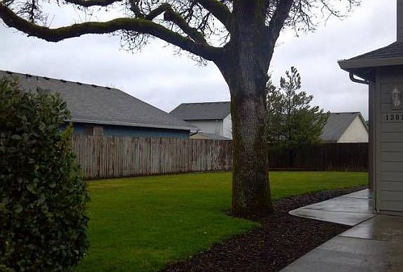 Great yard and oak tree