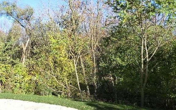 5th image of 1700 Riverwoods Dr APT 807