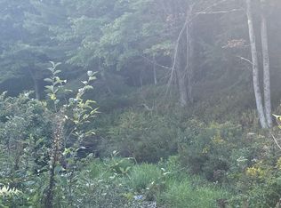 222 Eagle Ledge Rd, Worcester, VT 05682