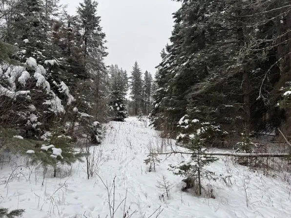 Tbd County Road 4, Spring Lake, MN 56680