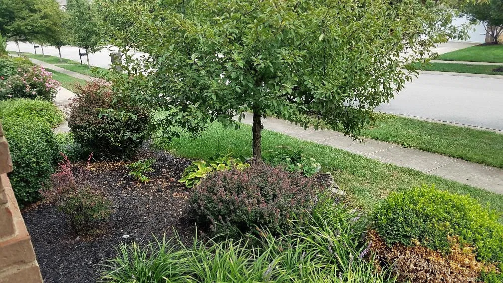 156 Riviera Dr — Photo 2