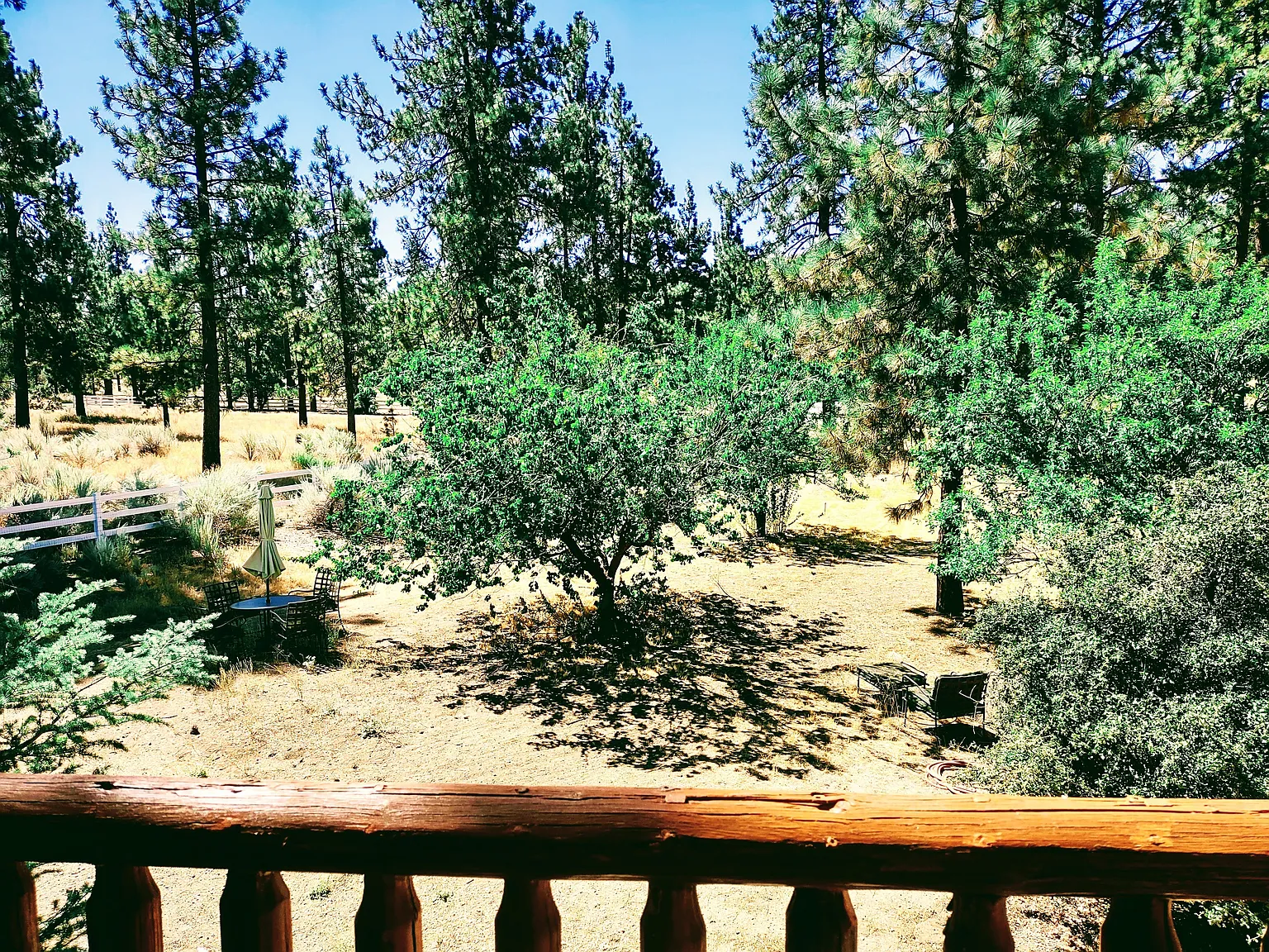 1 bed, 900 sqft, $2,000 — Photo 4