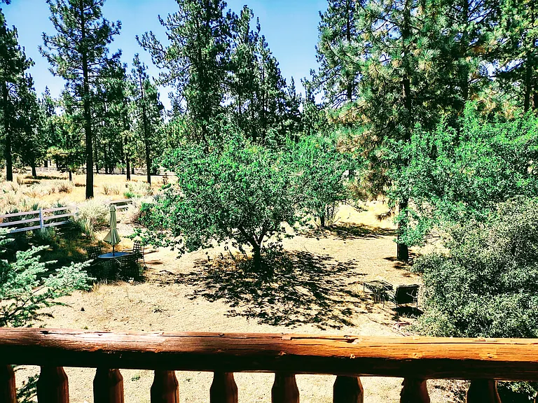 View of Orchard from Balcony