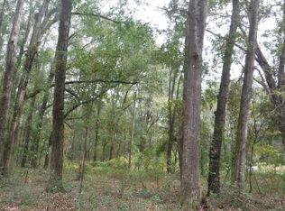 378 SE Marino Way, High Springs, FL 32643