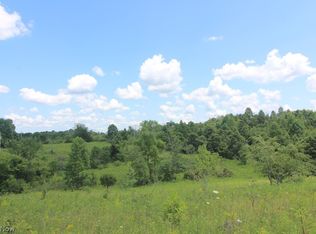 Union Hill Rd, Blue Rock, OH 43720