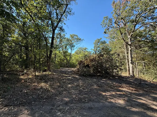 000 203 #County Road, Wheatland, MO 65779