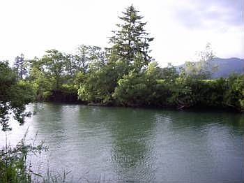 2nd image of 705 Makinster Rd