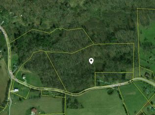 Demory Rd, La follette, TN 37766