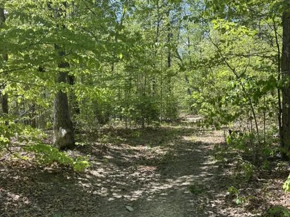 Davis Ln, Aroda, VA 22709
