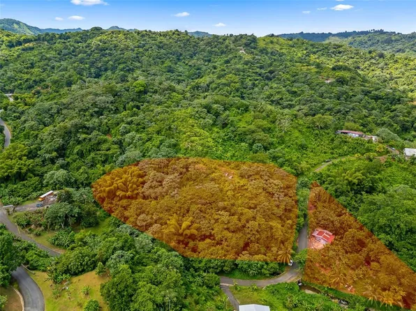 124 Km 12.9 Bo Cerrote, Las Marias, PR 00670