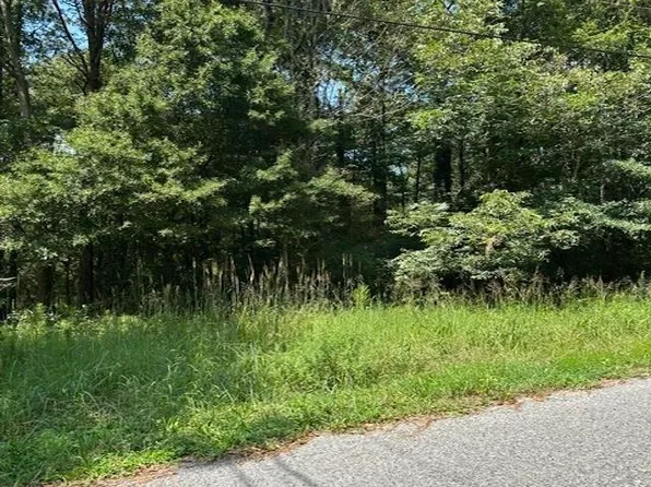 LOT 11 Dry Creek Rd, Cleveland, AL 35049