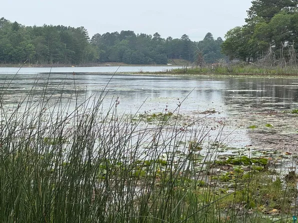 XXXX S Loon Lake Rd, Solon Springs, WI 54873