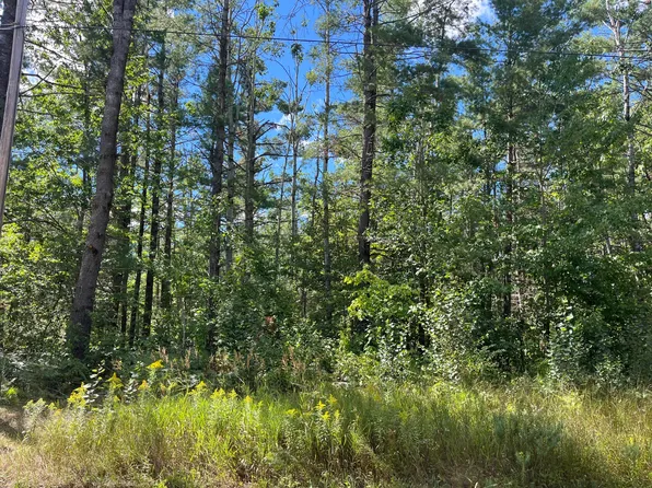Dorothy Dr, Gaylord, MI 49735