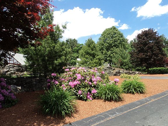 Visitor Parking Area