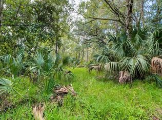 14902 Dead River Rd, Thonotosassa, FL 33592