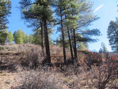 448 Evergreen Drive, Pagosa Springs, CO, 81147