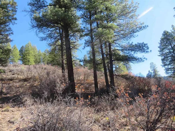 448 Evergreen Drive, Pagosa Springs, CO 81147