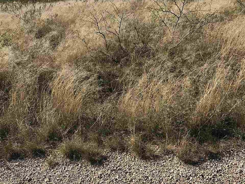 2nd image of 3913 Rio Arriba Rd