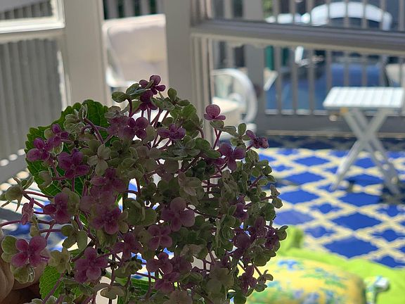 kitchen opens to deck