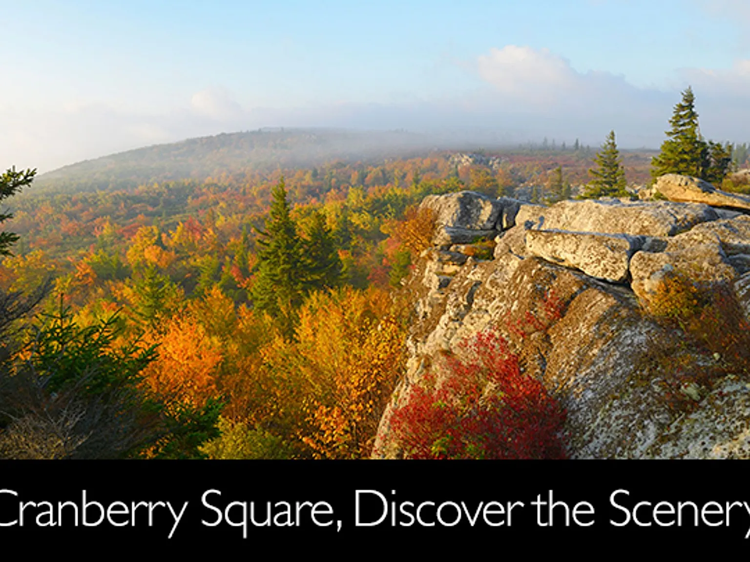Cranberry Square — Photo 4