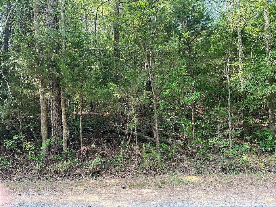 2nd image of 0 Silver Maple Rd